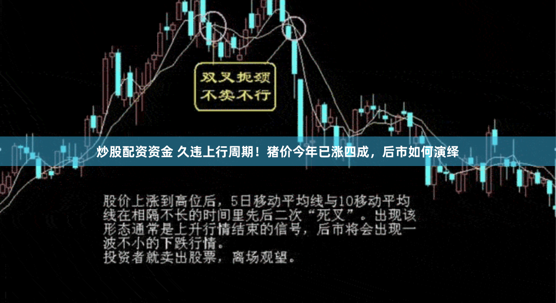 炒股配资资金 久违上行周期！猪价今年已涨四成，后市如何演绎