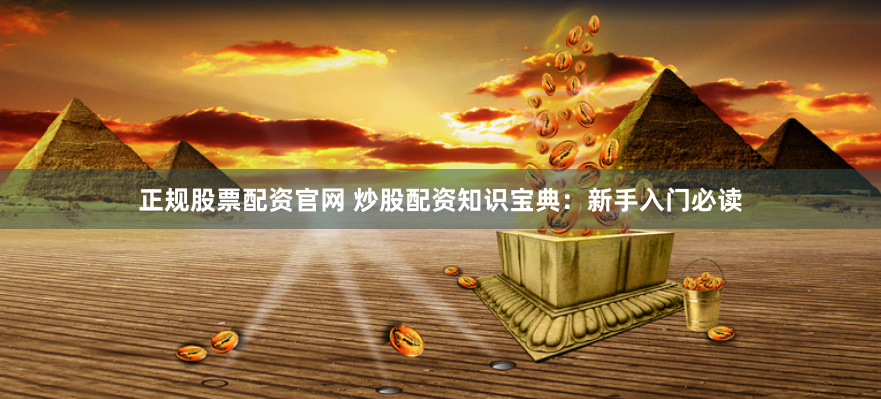 正规股票配资官网 炒股配资知识宝典：新手入门必读